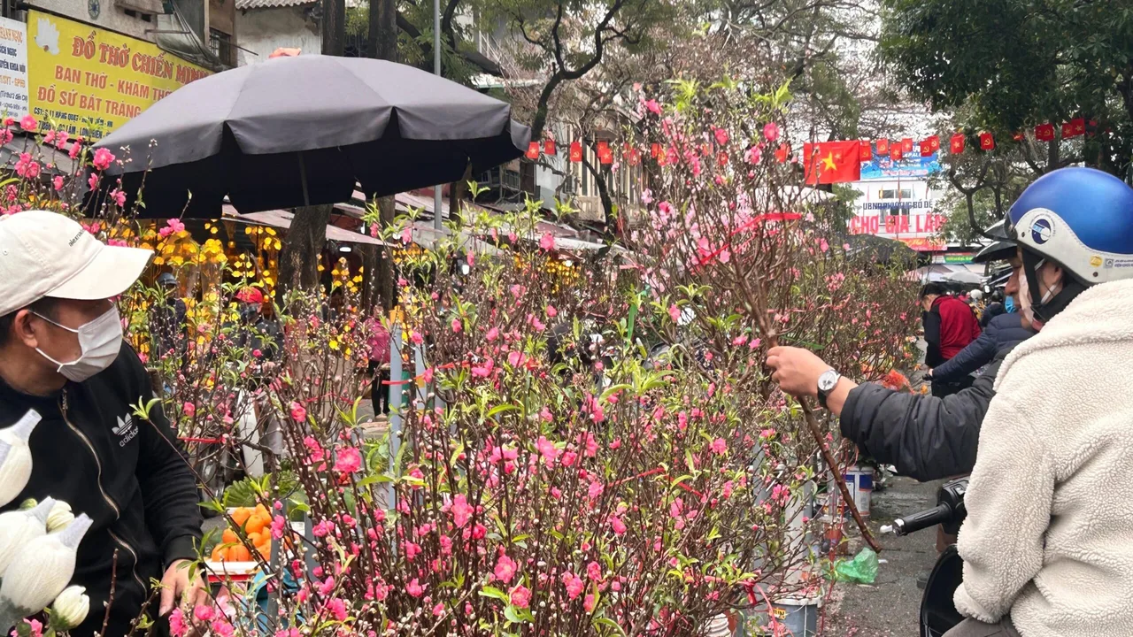 شمس ساطعة.. تقلبات جوية مرتقبة تضرب شمال فيتنام قبل وصول جبهة باردة